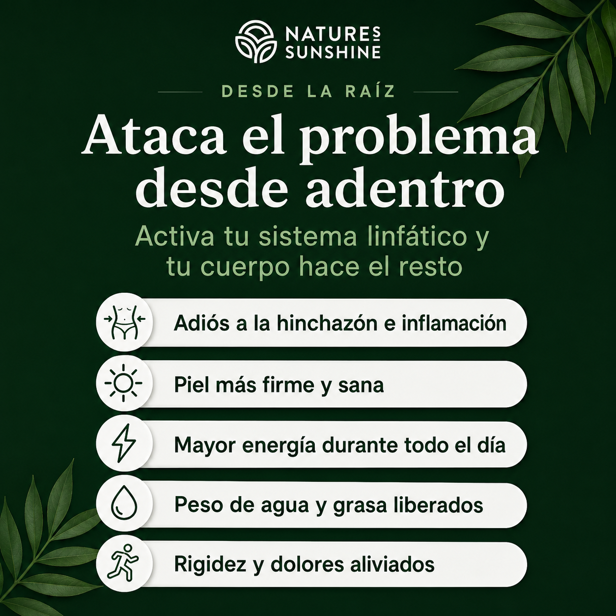 Nature sunshine | Drena Naturalmente la Hinchazón del Rostro, Abdomen y Piernas + Envio gratis 🎁